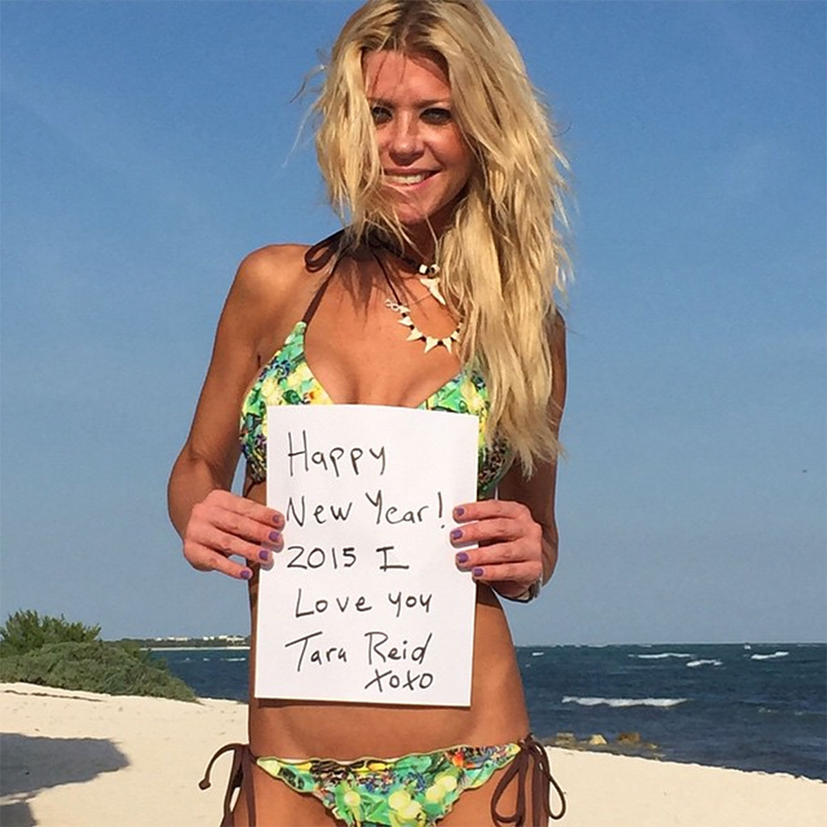 charity head recommends Tara Reid Nide