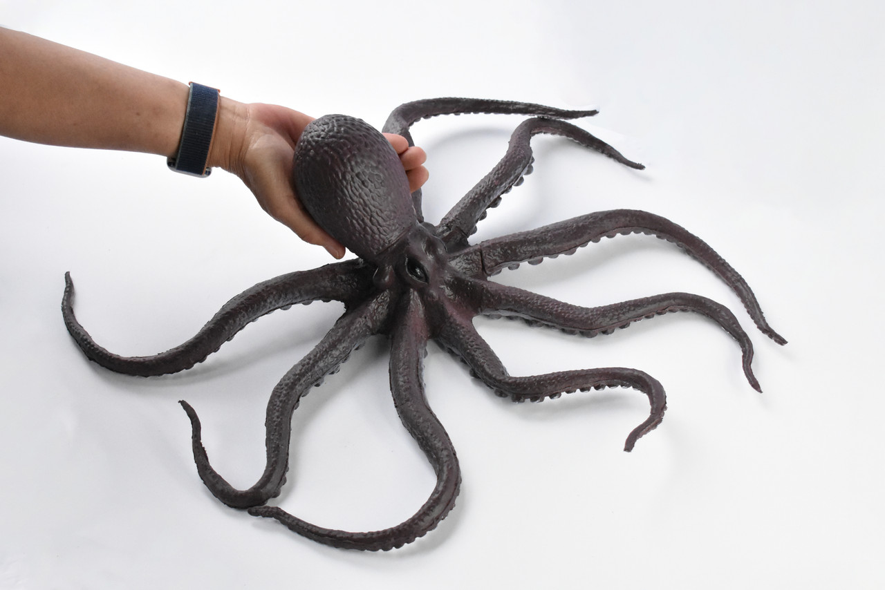 amira ghareeb add octopus tentacle toy photo