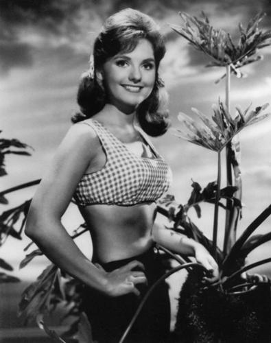 angela jamison recommends dawn wells in a bikini pic