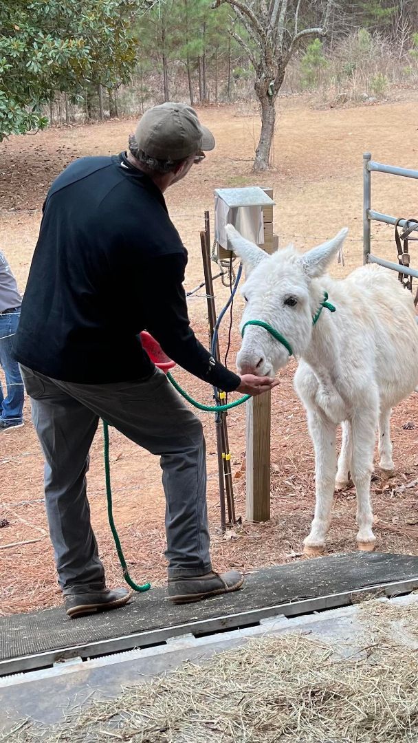 dave reberg add donkey cumming photo