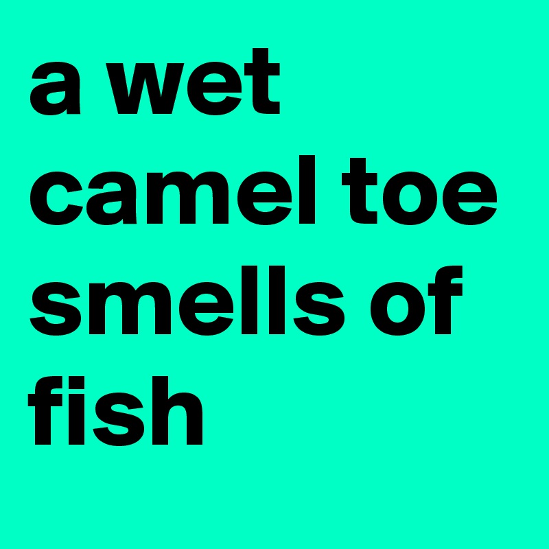 diane whitlock recommends wet camel toe pic