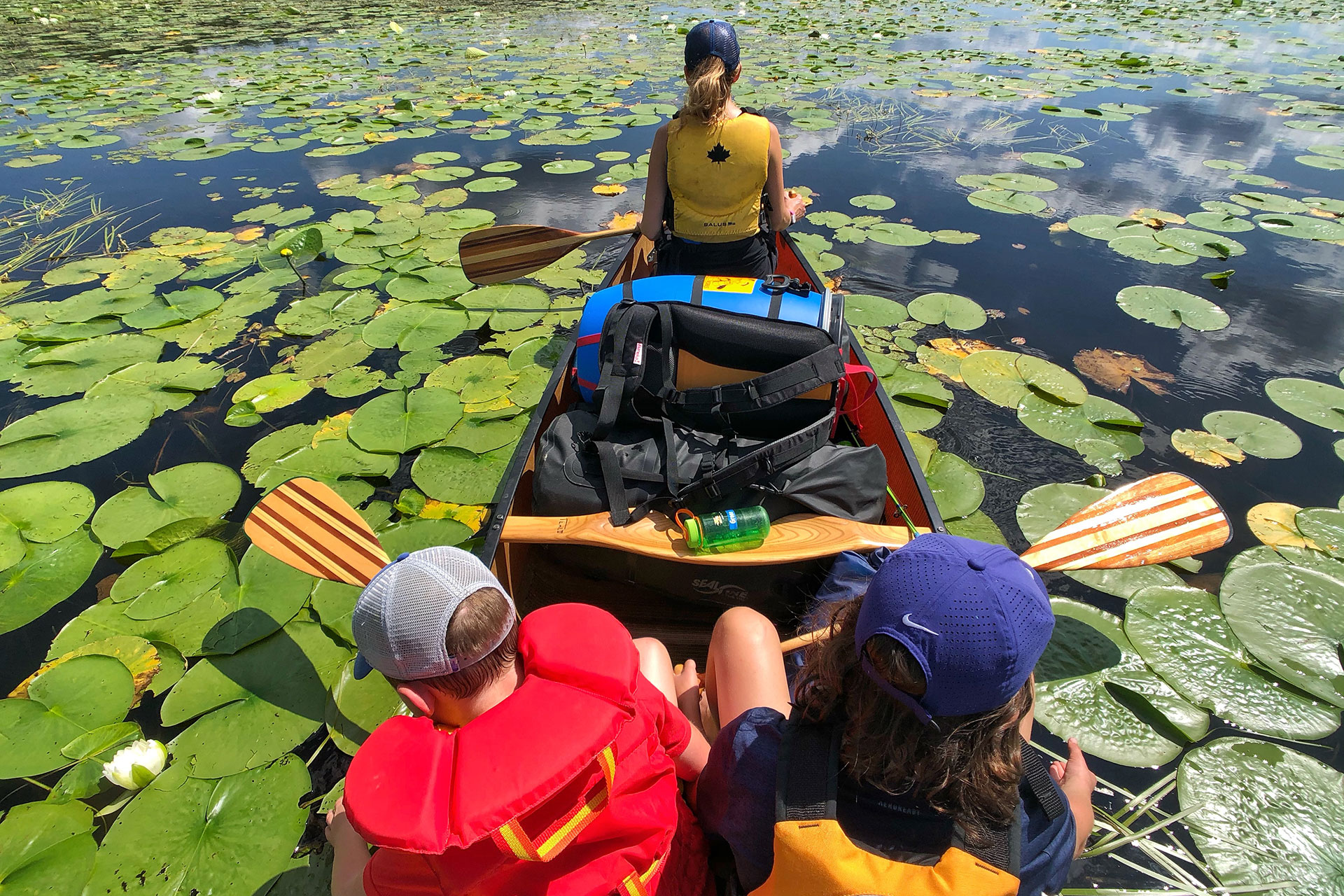 andrew christianson share family canoe trip goes wrong photos