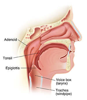 dimimis xartopetsetas recommends throated tubes pic