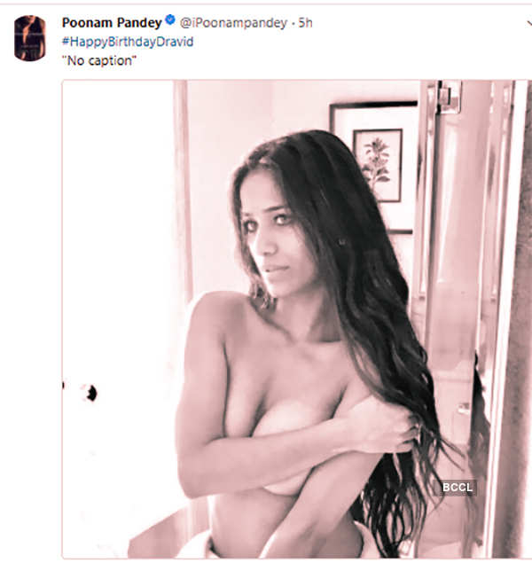 dakota akins recommends Poonam Pandey Naked