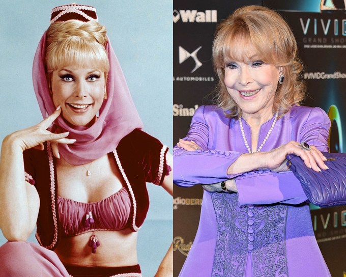 bob cockerham recommends Barbara Eden Nipple