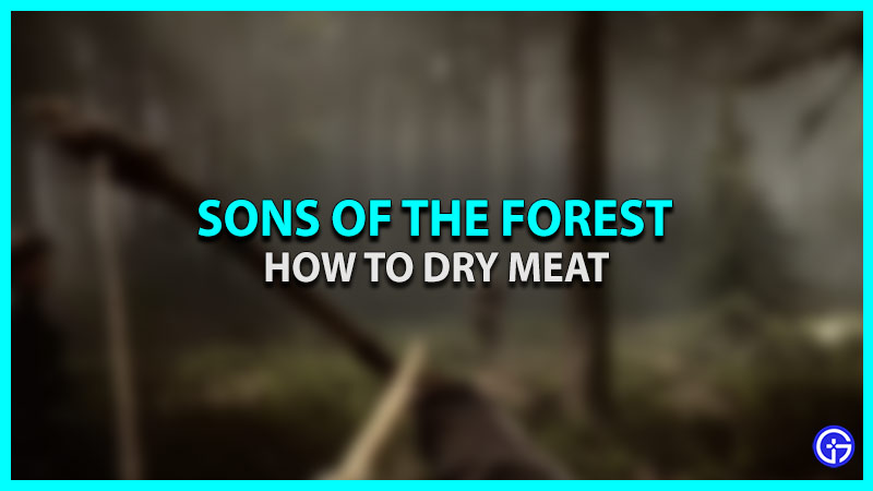 brandon lotts recommends Sons Of The Forest Drying Rack