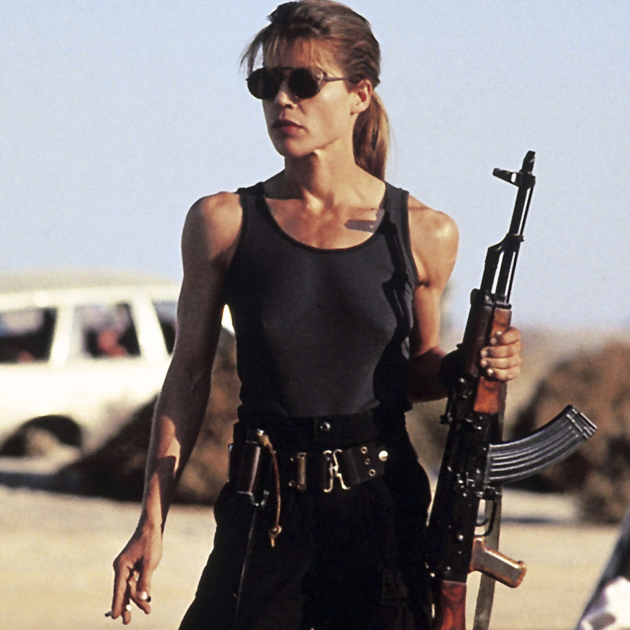 chris pelissier recommends linda hamilton sexy pic