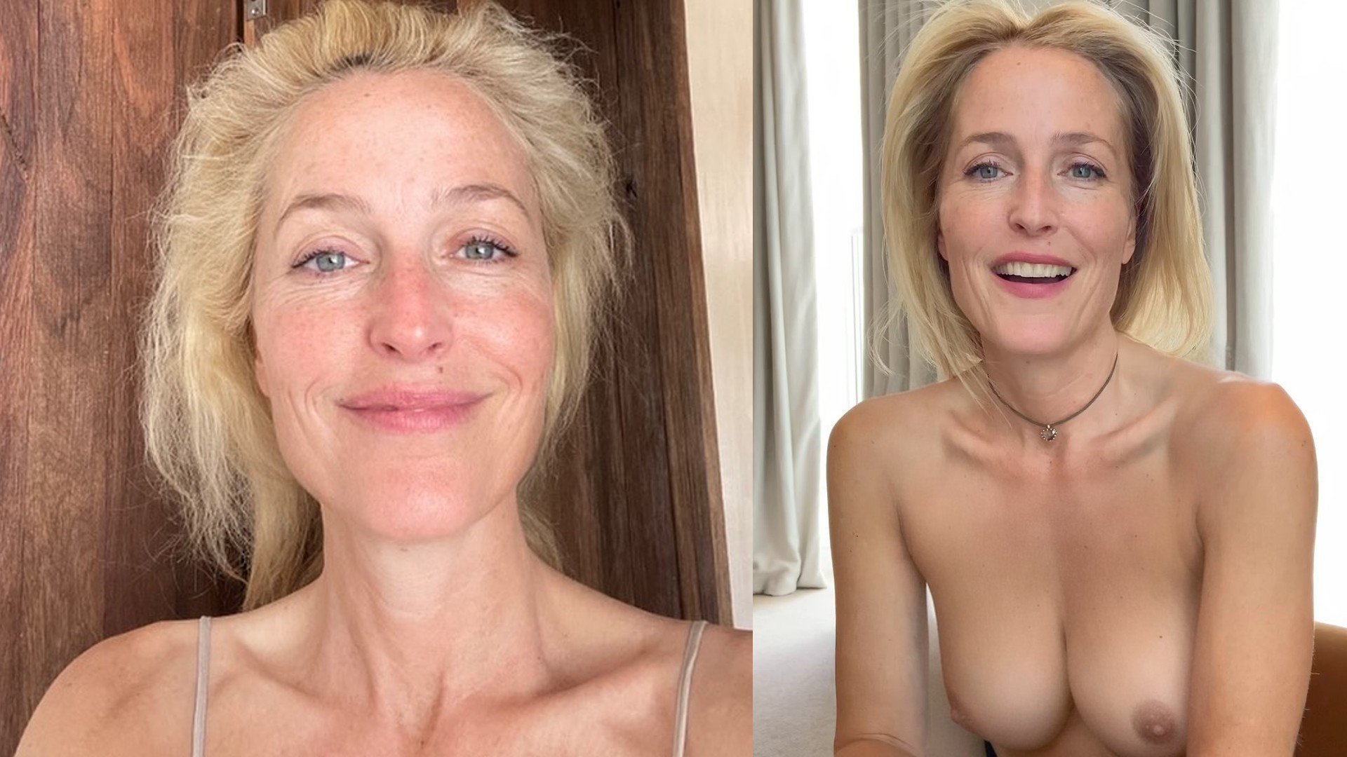 bharat devjani recommends Gillian Anderson Nude Photos