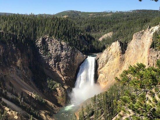 danny wilde share yellowstone naked photos