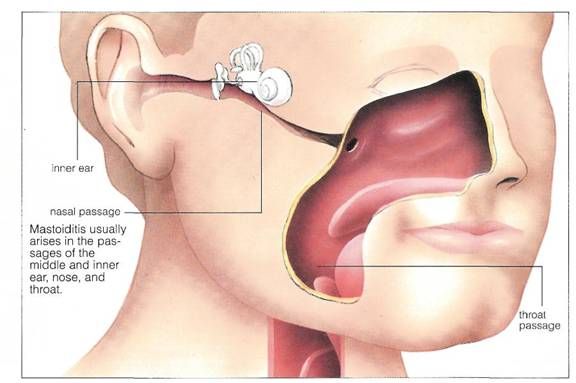 barbara basham bostic recommends Throated Tubes