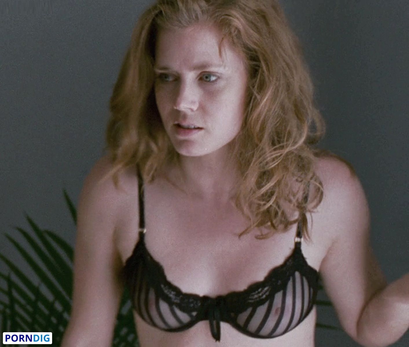 colleen schumann recommends Amy Adams Nsfw