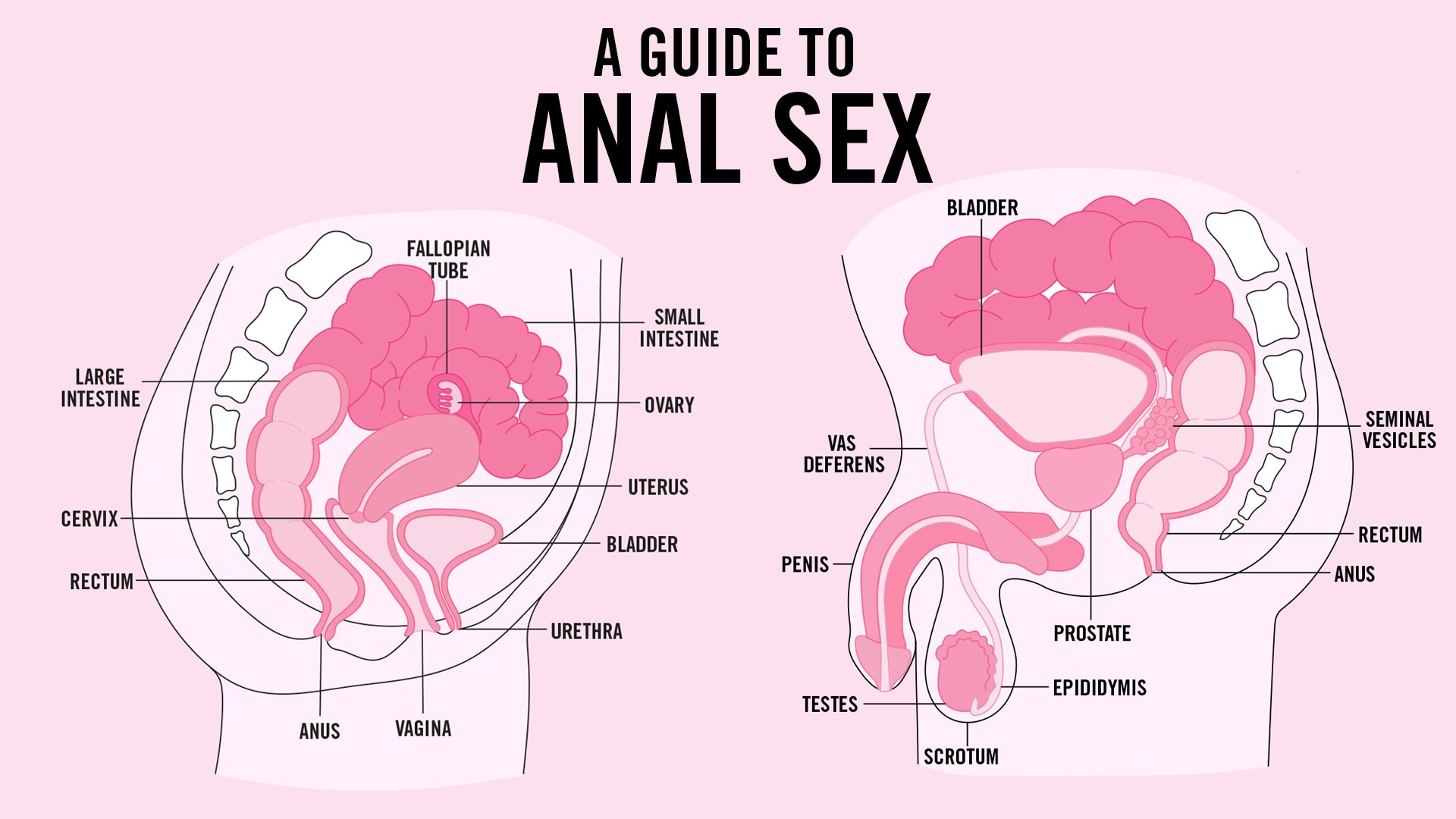 deborah gracey recommends anal penetration hd pic