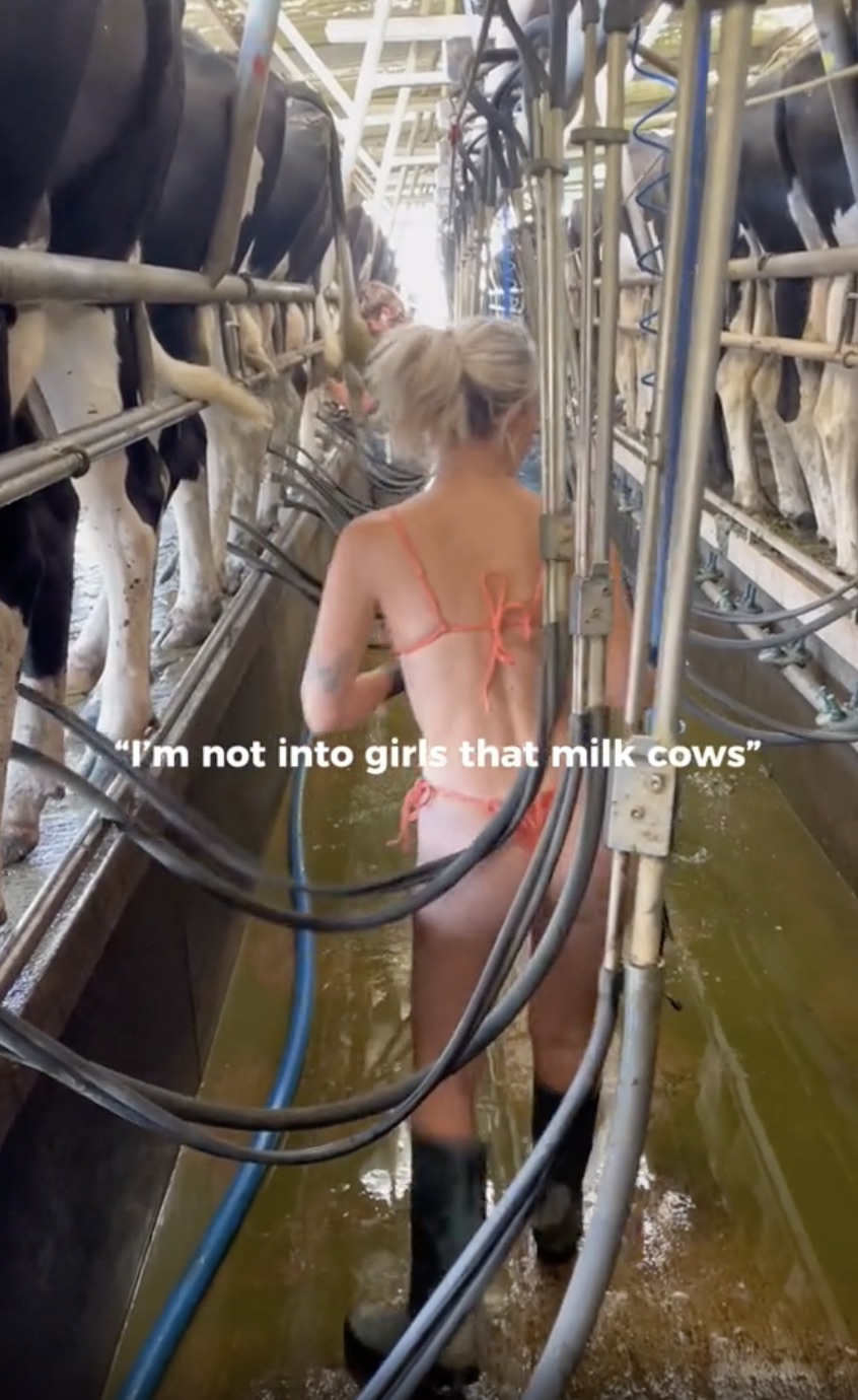 carmin gonzalez recommends Girl Getting Milked