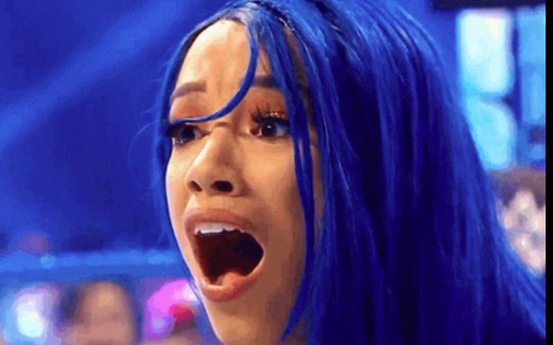 danielle marie simpson recommends Sasha Banks Leaked