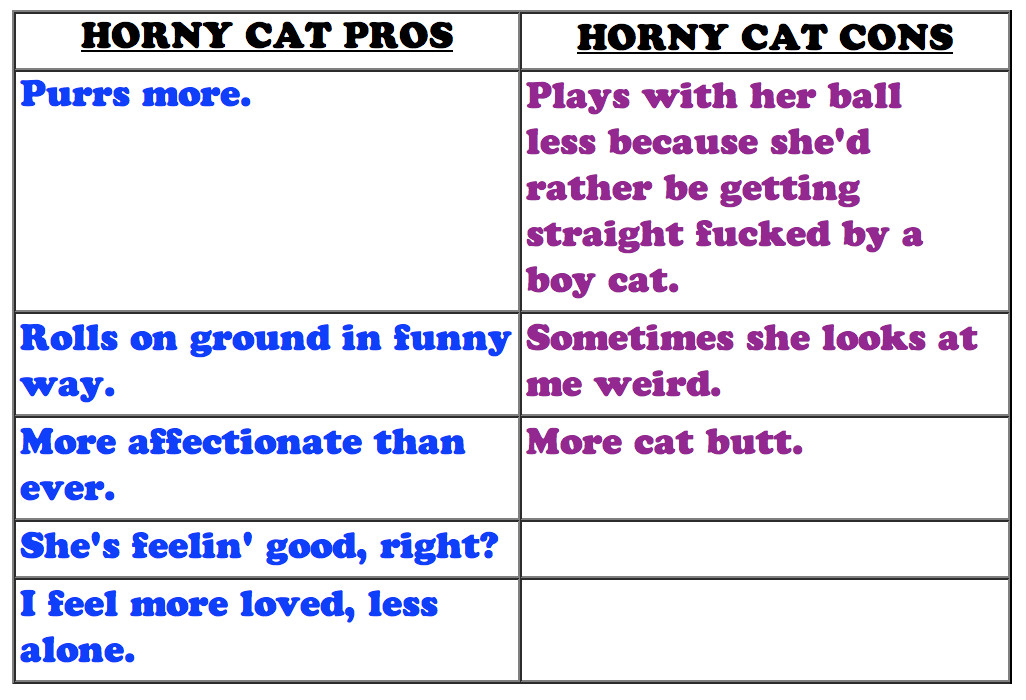 dianne proctor add horny cat girls photo