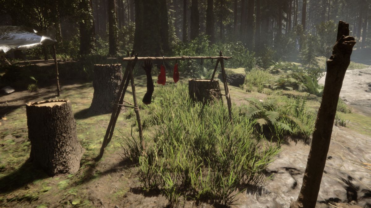 Best of Sons of the forest drying rack