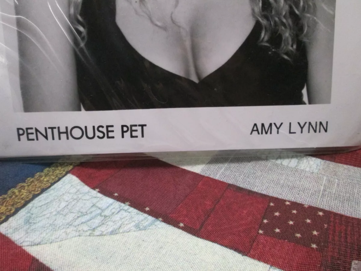 amy lynn penthouse