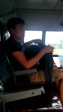 Best of Bj on bus