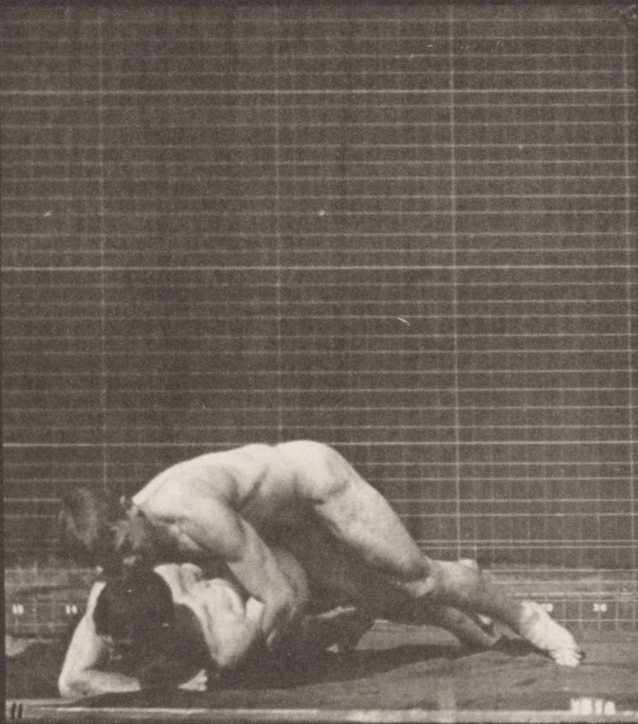 barbara morford recommends nude men wrestling pic