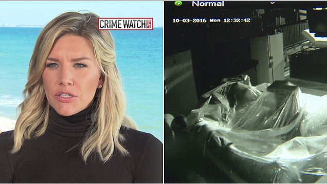 carlos wade recommends charissa thompson sextape pic