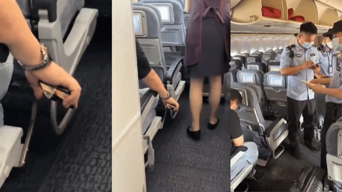 charlene botha recommends flight attendant up skirt pic