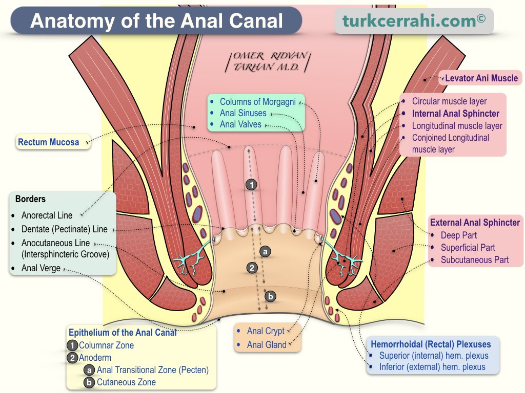 dianne sharp recommends Deep Rough Anal