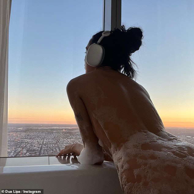 dua lipa nude pictures