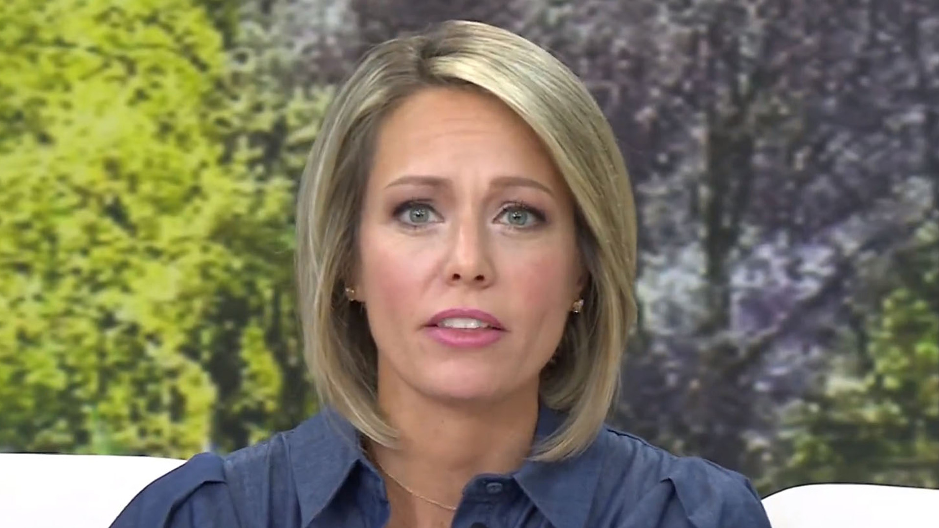 deborah coram recommends Dylan Dreyer Nude