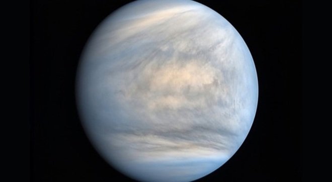 david newbould recommends venus leaked pic