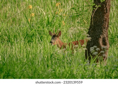 andrew kulas add voyeur natural photo