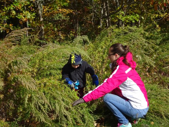 amber hillis recommends Mom Lends A Hand