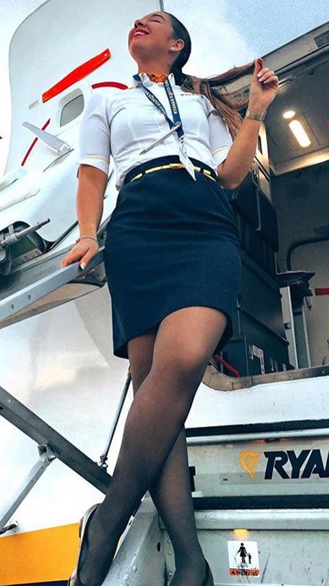 allen morrow add photo flight attendant up skirt