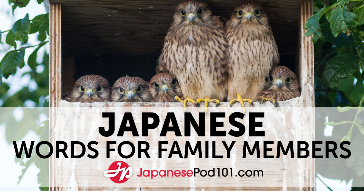 amy ohanlon recommends Japanese Family Sex