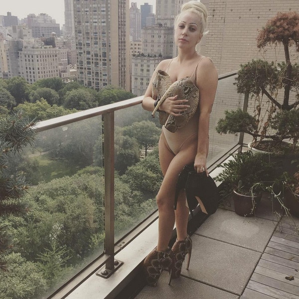 dillen hall recommends lady gaga photos nude pic