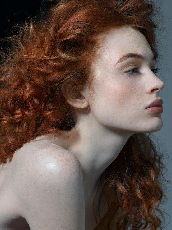 david schnurman share redheads tied up photos