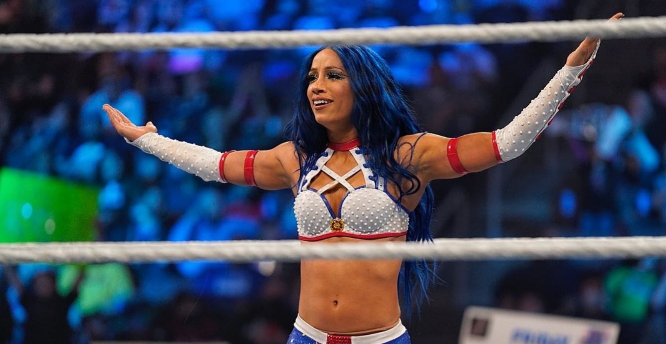 adeel ashiq recommends sasha banks leaked pic