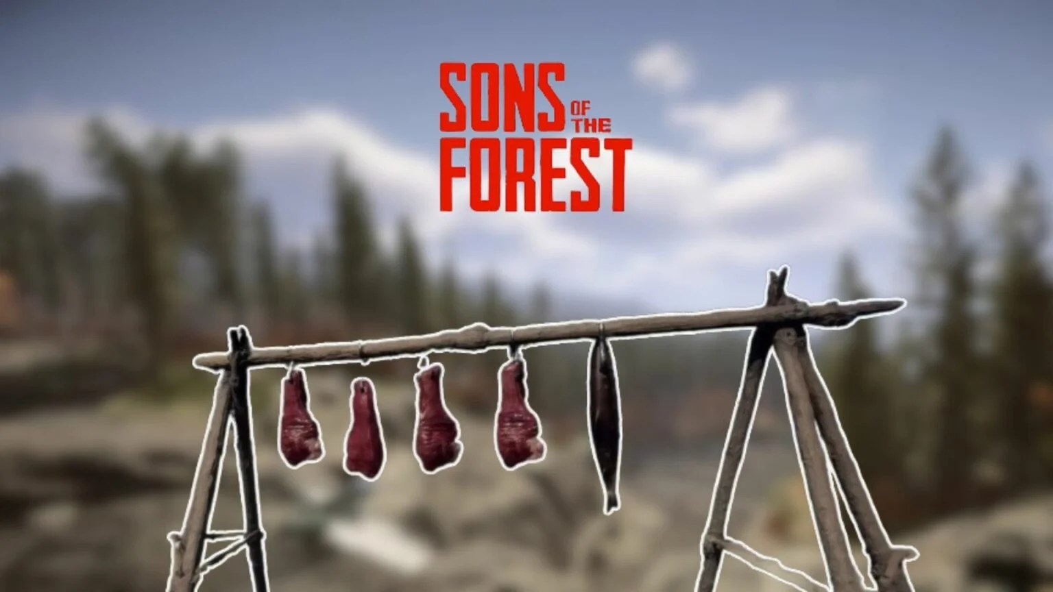 cindy mosney add sons of the forest drying rack photo