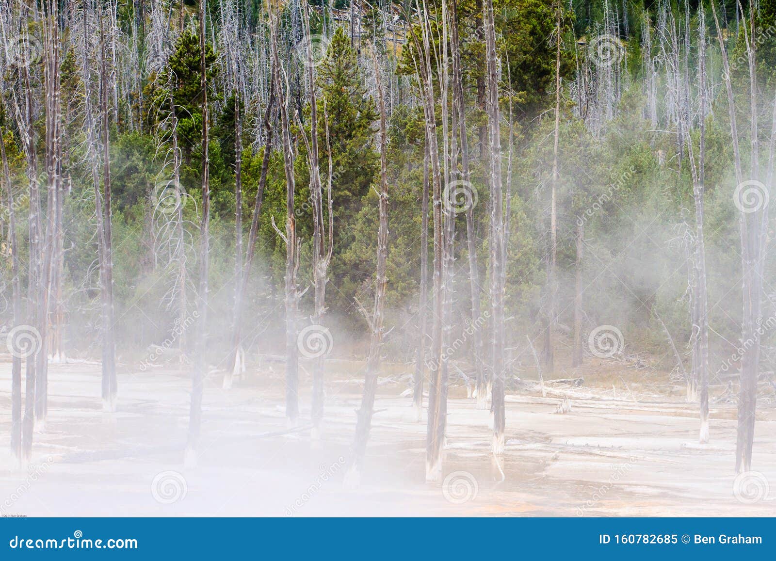 cher mason add yellowstone naked photo